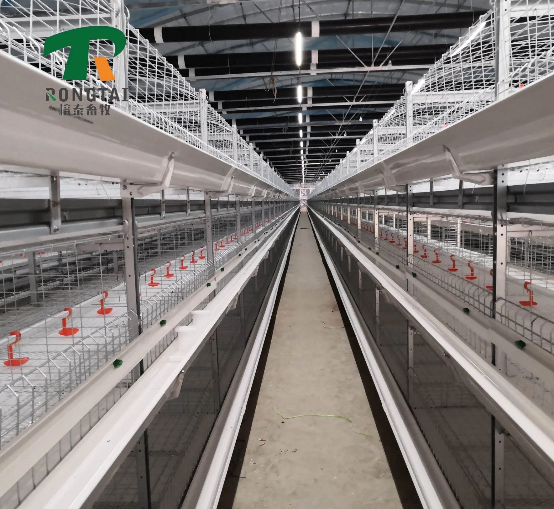 Poultry Farm Automatic H Frame Galvanized Layer Egg Laying Chicken Battery Cage Poultry Equipment