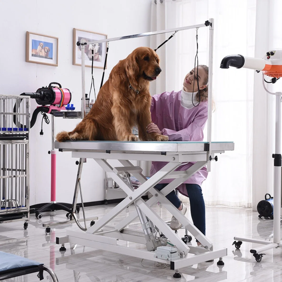 Pet Electric Grooming Salon Lift Grooming Table with LED Lighting