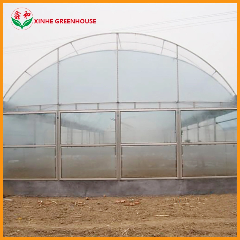 Promotional High quality/High cost performance  Multi-Span Plastic Film Greenhouse