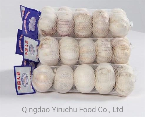 It Can Prevent Hair Loss, Chinese Jinxiang Garlic