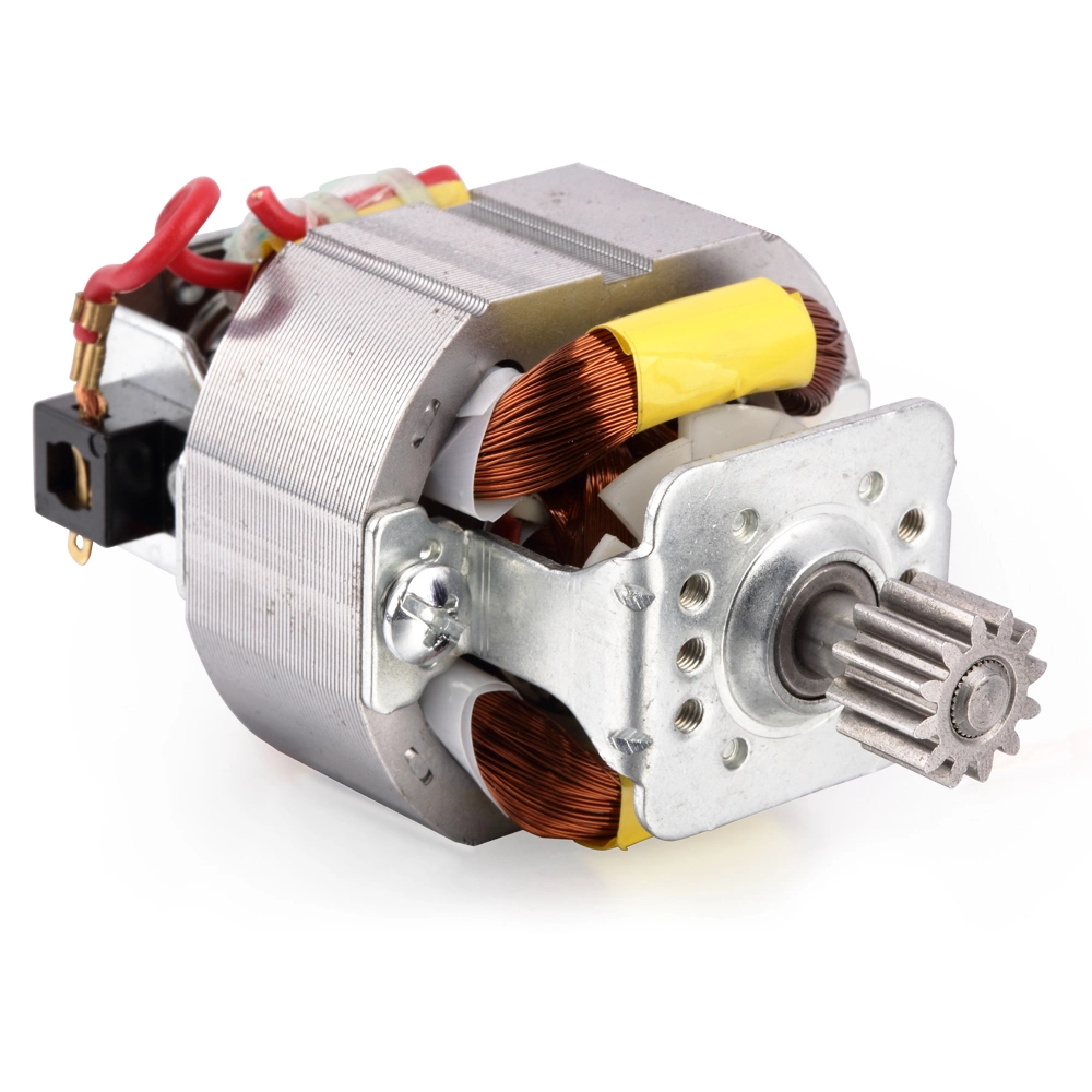 Electric Motor AC Electrical Motor/Engine DC Motor Single Phase 5420 with Pinion for Meat Grinder