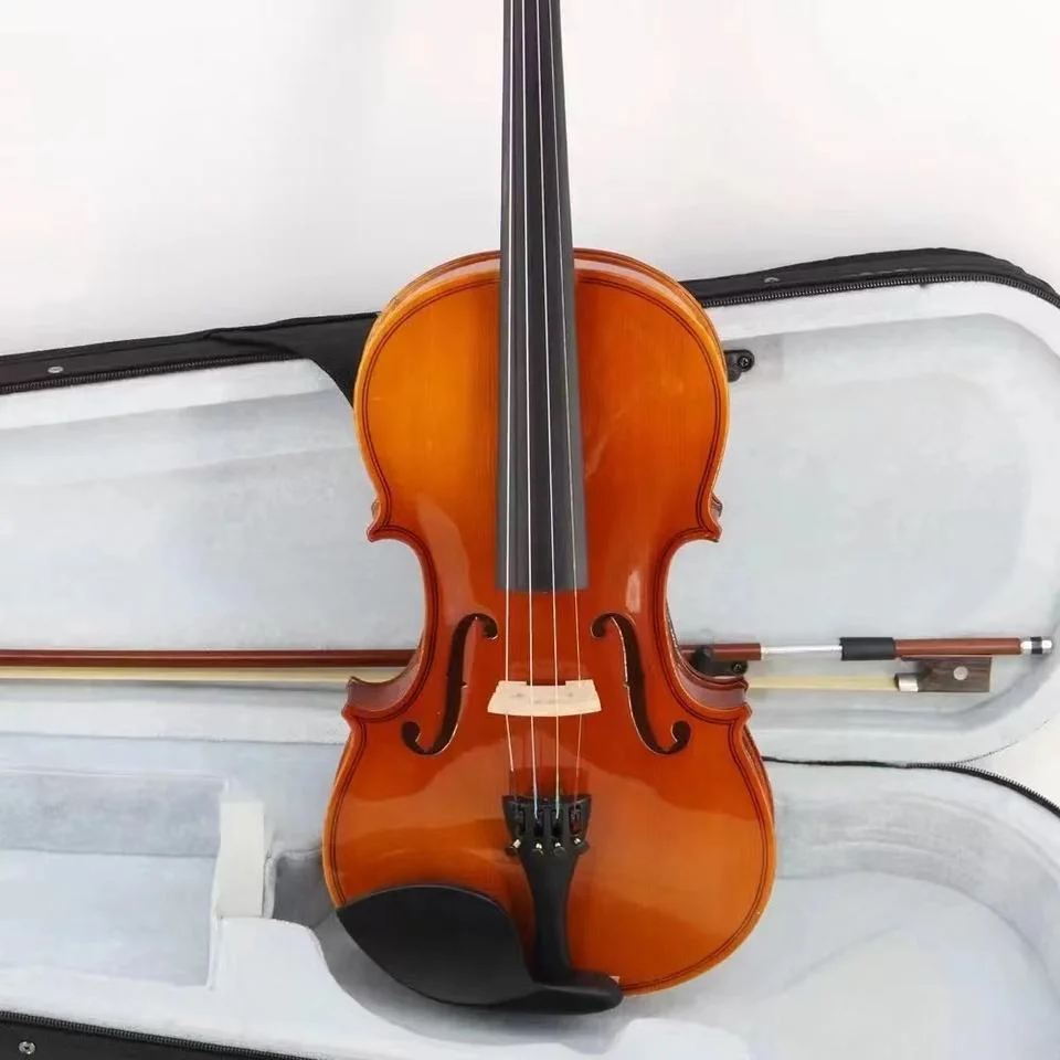 سبروس 4/4 فيولين من الصين ضد المياه Violin قضية