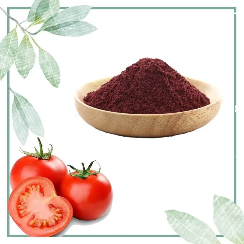 Factory Price Tomato Extract Lycopene 10% Used for Food Additive/Cosmetics