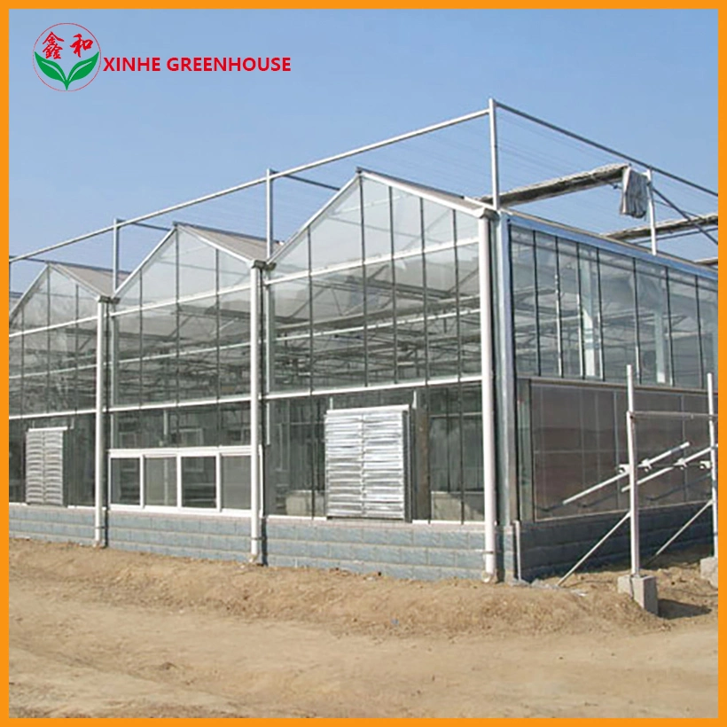 Float Aluminum Alloy Frame Greenhouse Garden for Flowers