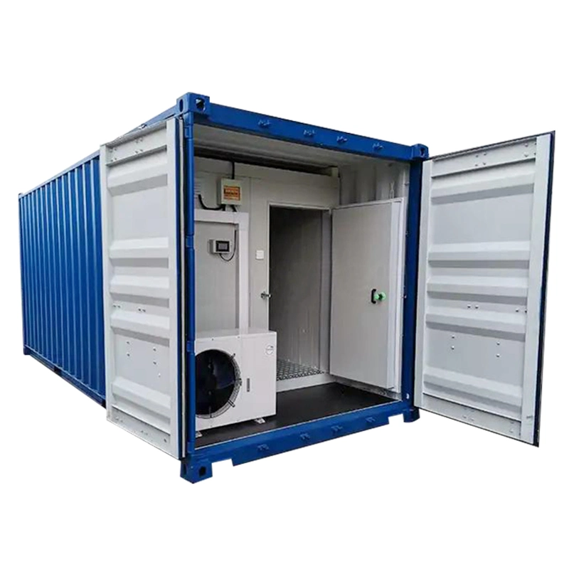 Indonesia Industrial Freezing Container Fridge 40FT Cold Room Ultra Freezer Storage Equipment