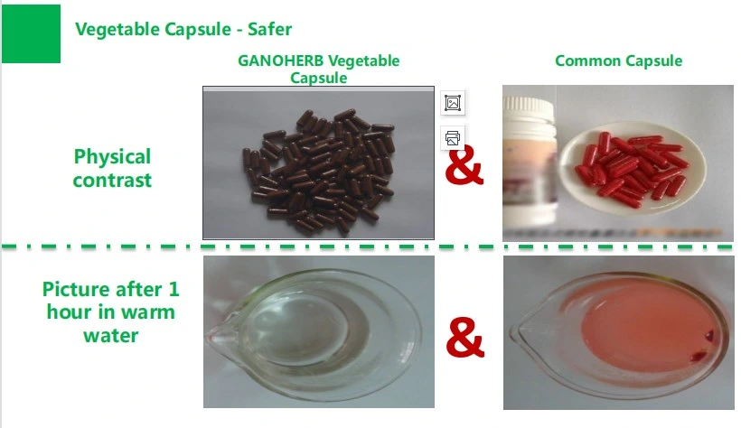 Las cápsulas de seta Reishi OEM no OMG Libre de Gluten Extracto de hongos Reishi