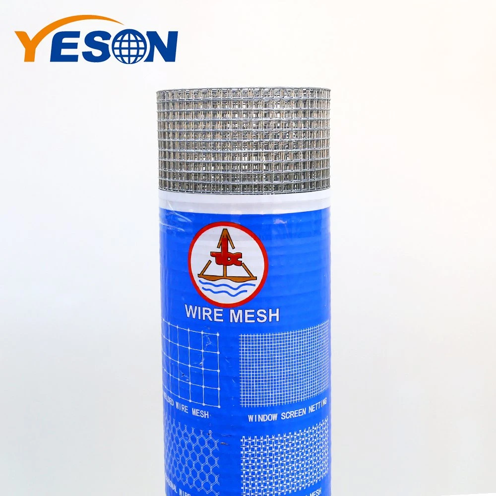 China Anping Manufacturer High quality/High cost performance  Galvanized Welded Wire Mesh for Bird Cage