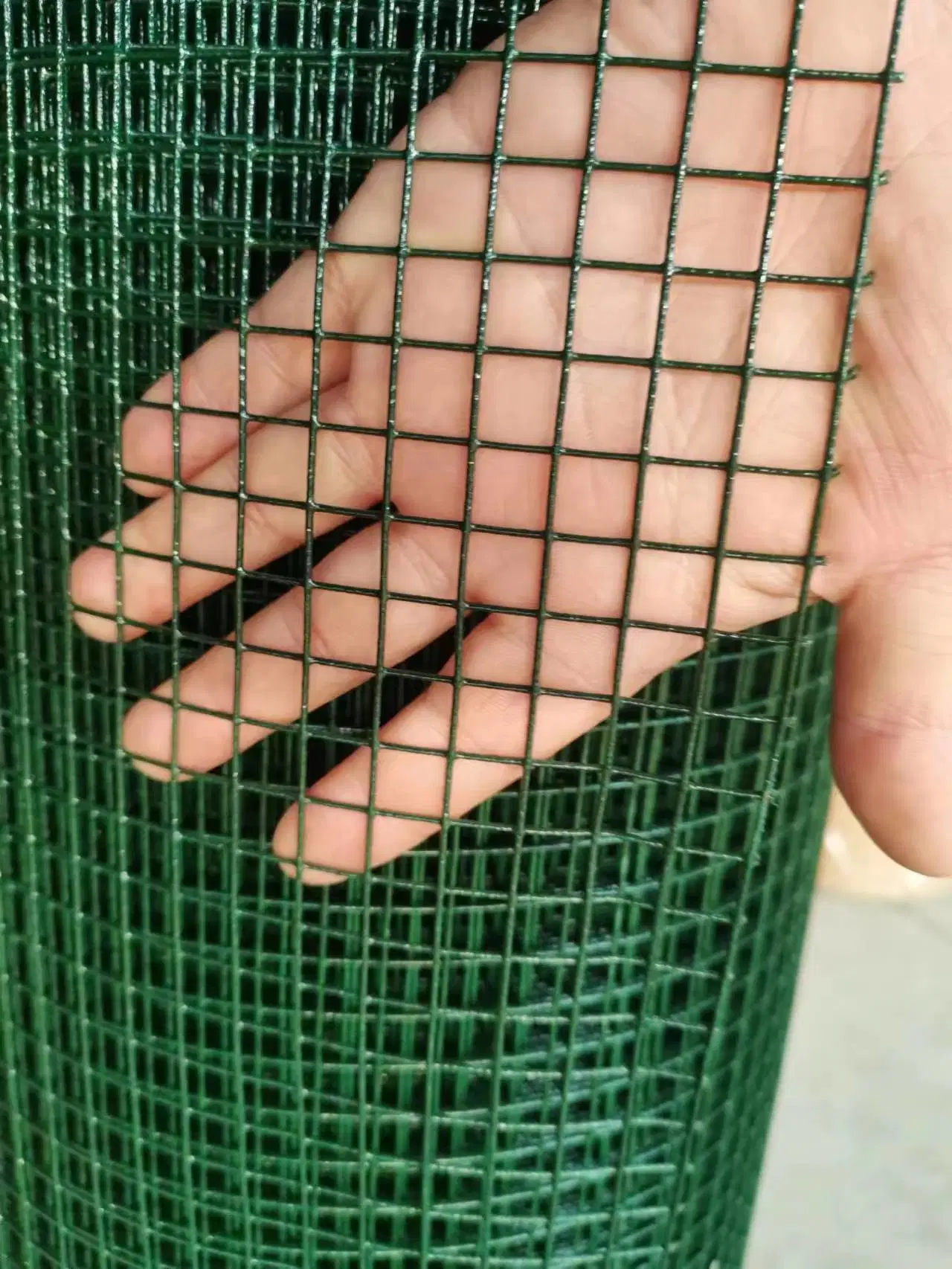 China Hebei Factory High Quality PVC Coated Wire Mesh Welded