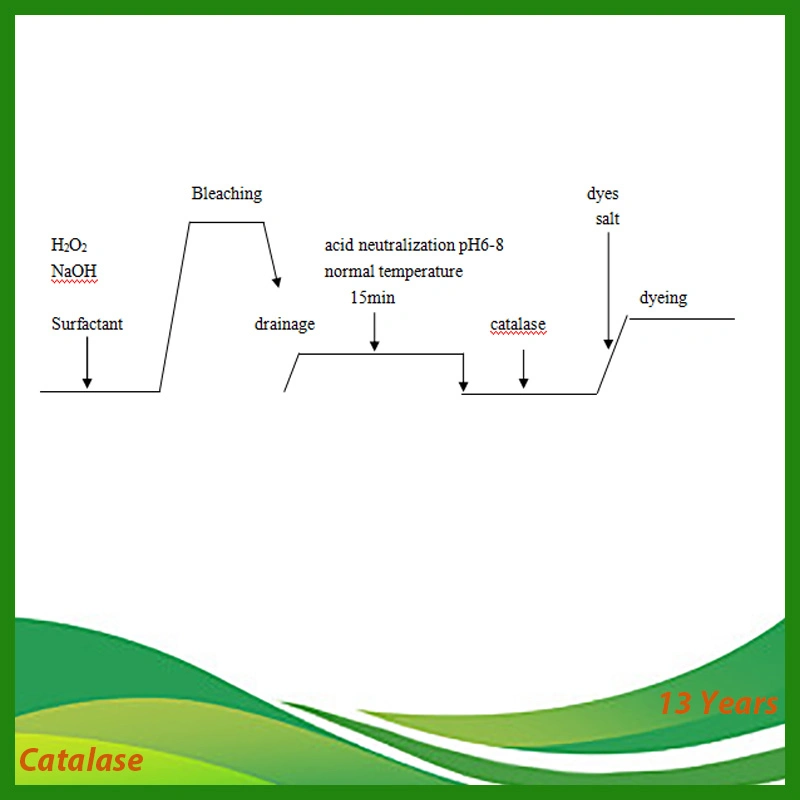 High Activity Catalase Industrial Chemical Catalysts for Textile Dyeing Mills