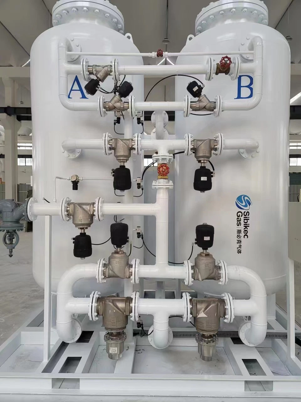 Skid-Mounted Nitrogen Production Unit Psa Nitrogen Gas Generator