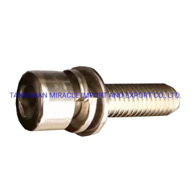 Electro Galvanized Hot DIP Galvanized Black Bolts and Nuts Carbon Steel and Stainless Steel Material Grade 8.8 Fastener Hex Bolt-1