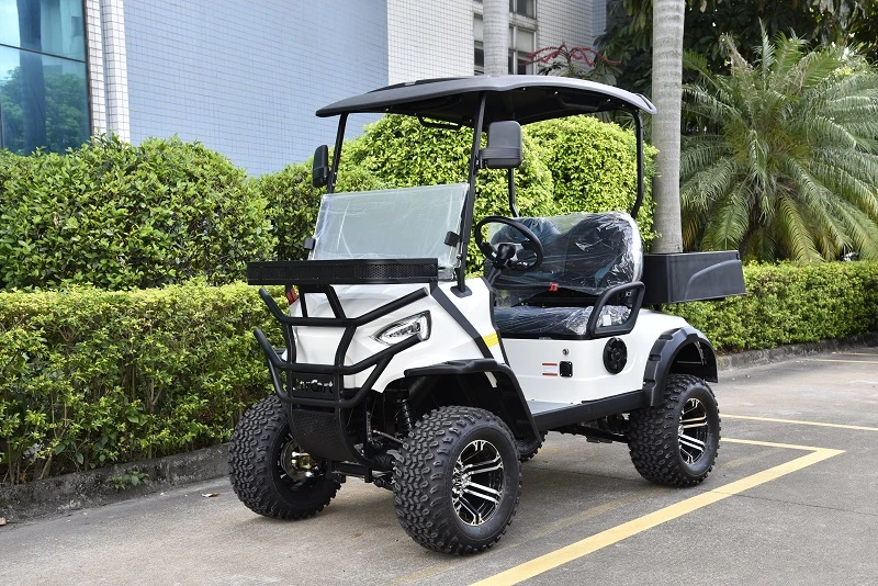 Golfplatz Cart 2 Sitzer Elektro-Utility Cart Cargo Fahrzeug Golfwagen