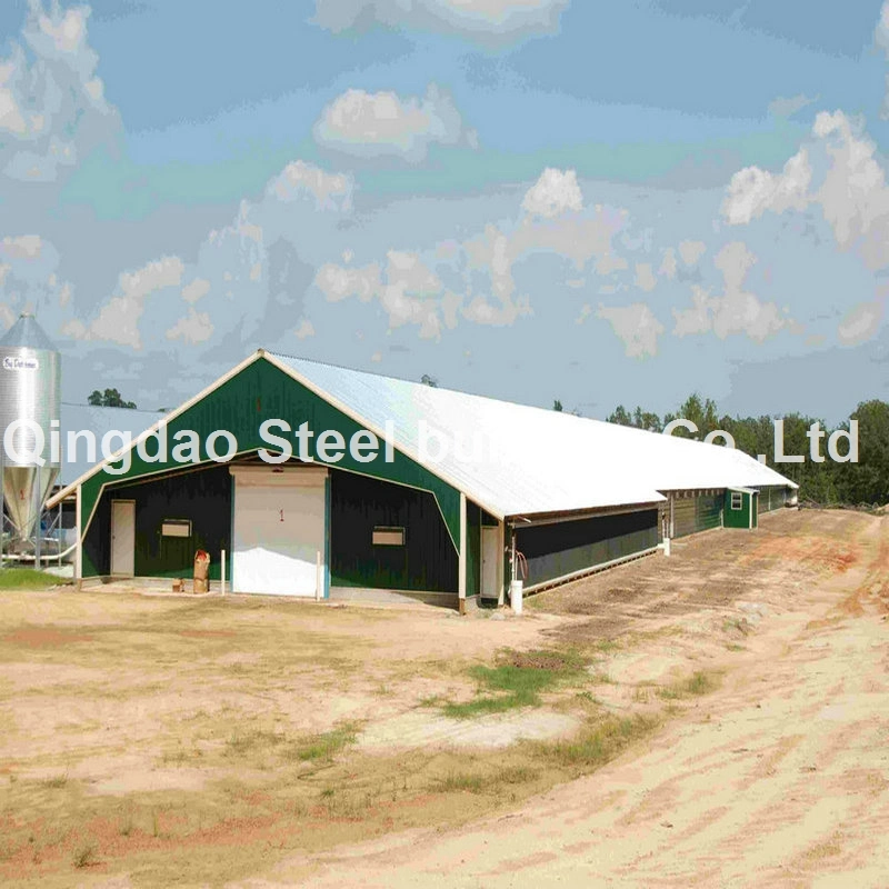 Prefabricated Steel Structure Poultry Farm Animal Husbandry Farm Building