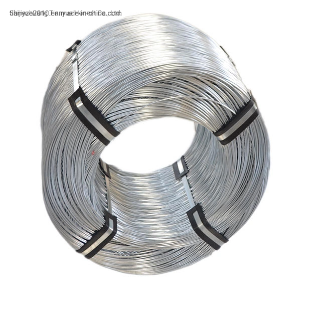 Hot Dipped/Electric Galvanized Mild Steel Binding Wire/Low Carbon Wire