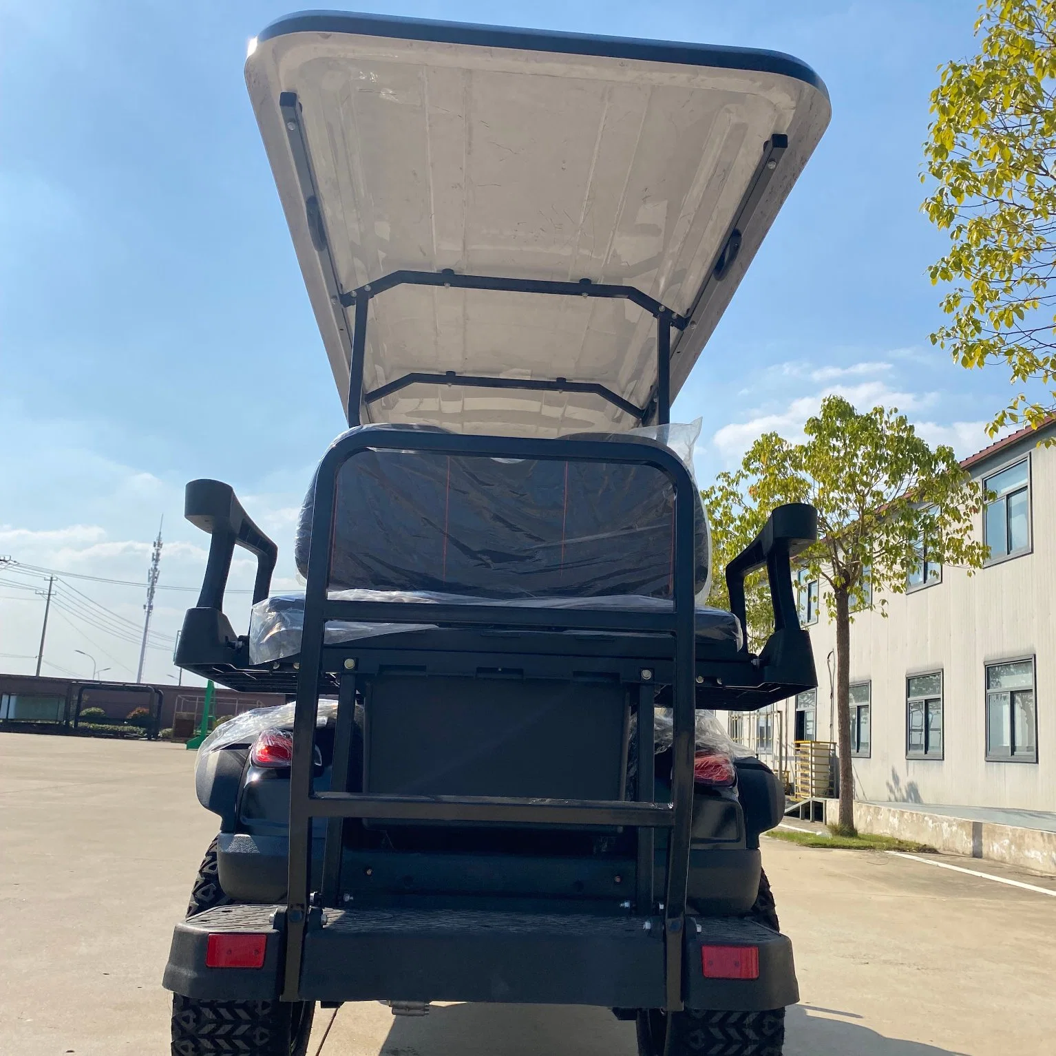 48V Golf Car for Club Use Wholesale/Supplier Price Top Quality