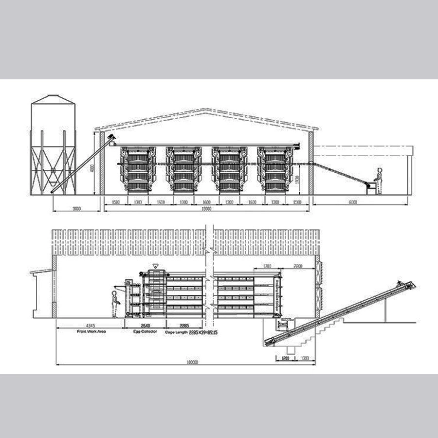 H Type Battery Layer Chicken Cage with Fully Automatic Equipment