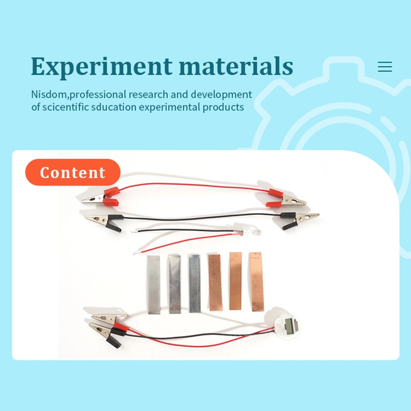 DIY Obst Powered Generation Kits Wissenschaft pädagogisches Spielzeug für Studenten Lernressourcen.