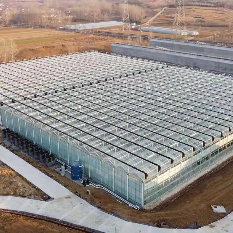 High-Permeability Sealing/Single-Layer Toughening/Flowers/Vegetables/Fruits/Planting/Farm Glass Greenhouse