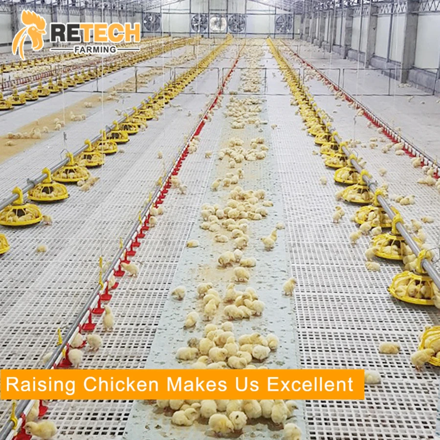 Practical broiler floor rearing chicken cage poultry farm equipment for sale