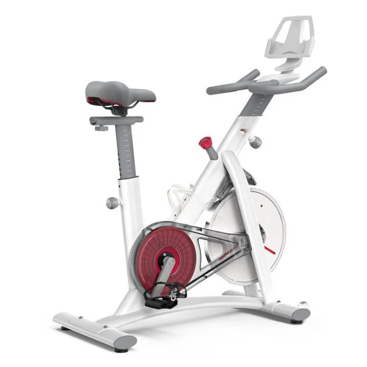 Exercise Smart Stationary Magnetic Resistance Bluetooth Home Indoor Spinning Bike