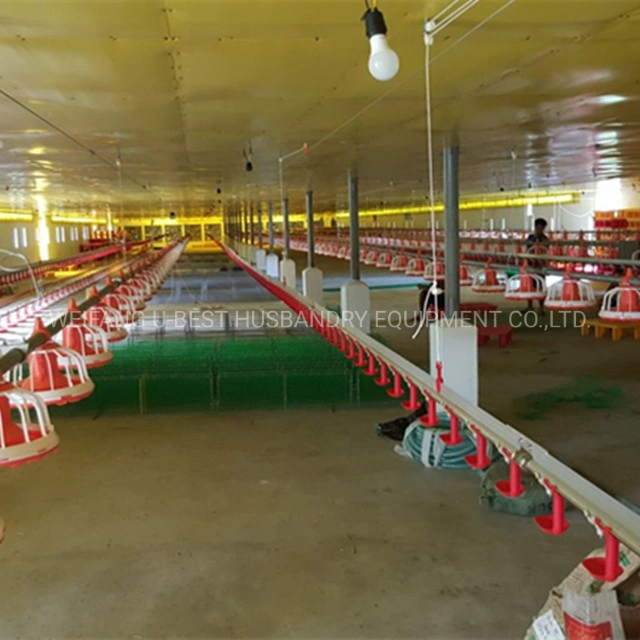 High quality/High cost performance  Broiler Poultry Farm Automatic System Feeding Equipment