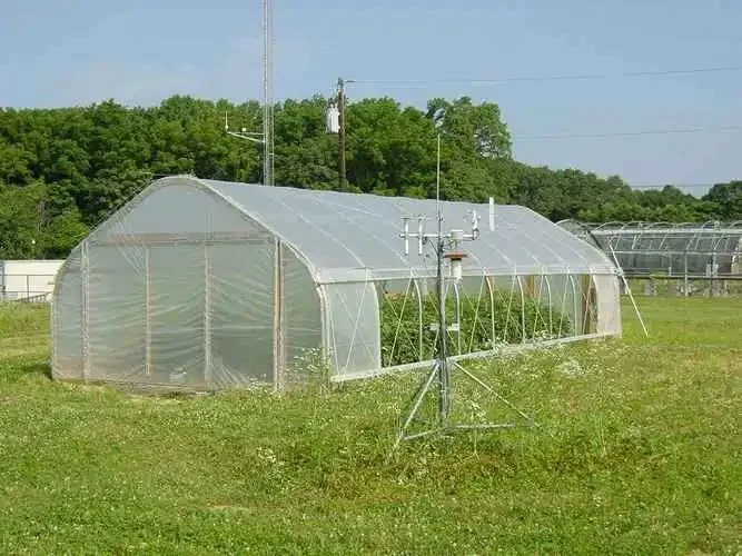 Landwirtschaftliche / kommerzielle Single Span / Günstige Tunnel / Gothic Kunststoff-Film hydroponic einfach und einfach Gewächshaus