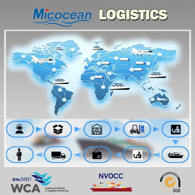 LCL Logistica Service Consolidation Sea Shipping From Guangzhou/Shanghai/Shenzhen/Ningbo to Damietta