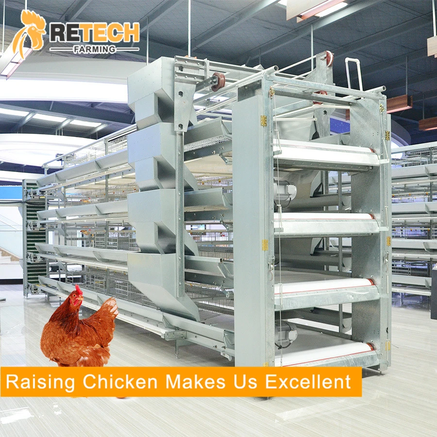 Automatic H type 4 tiers 240 birds layer chicken Battery cage