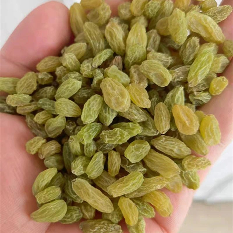Xinjiang 100% Pure Natural Sun Dried Fruit Reen Raisin Prices