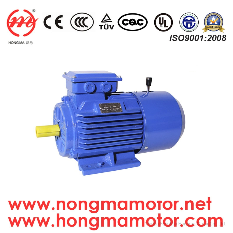 Brake Motor Manual Brake Motor DC Brake Yej Hmej 6poles 4kw