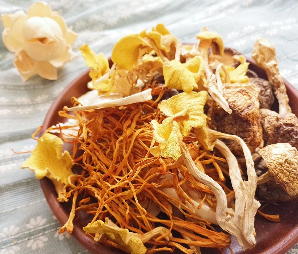 China Suppe Kochen Getrocknete Cordyceps Pilz Lebensmittel