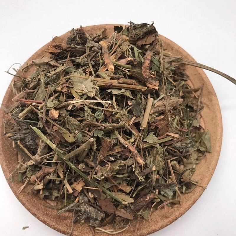 Xian He Cao GMP Factory Supply Herb 100% Natural Herba Agrimonia Pilosa