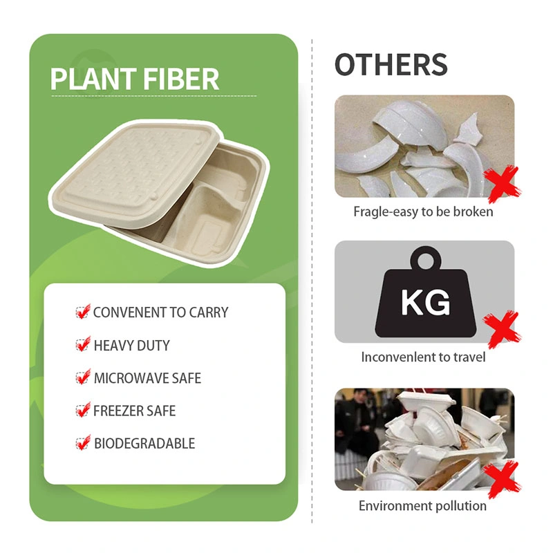 Sugarcane Bgasse Disposable Plates Eco Friendly Packaging Food Container Lunch Box