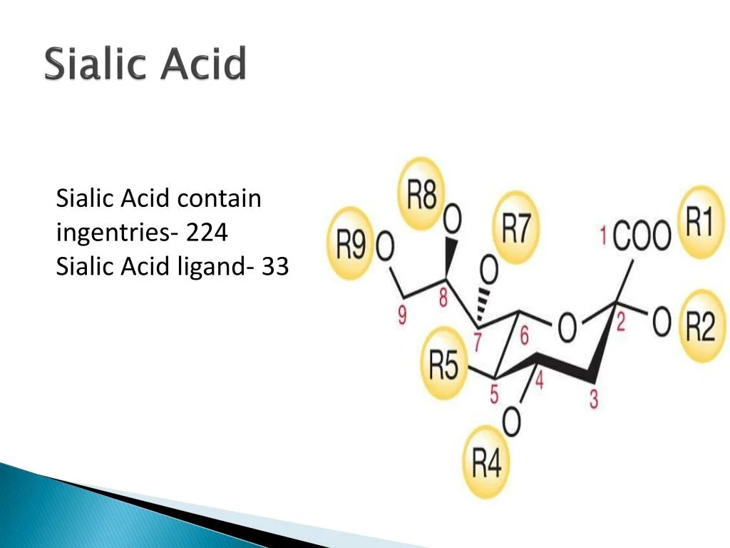 High quality/High cost performance  Bird's Nest Powder Sialic Acid 99% N-Acetylneuraminic Acid CAS 131-48-6