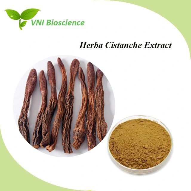 Manufacturer Supply Natural Cistanche Plant Extract with Aphrodisiac Effect