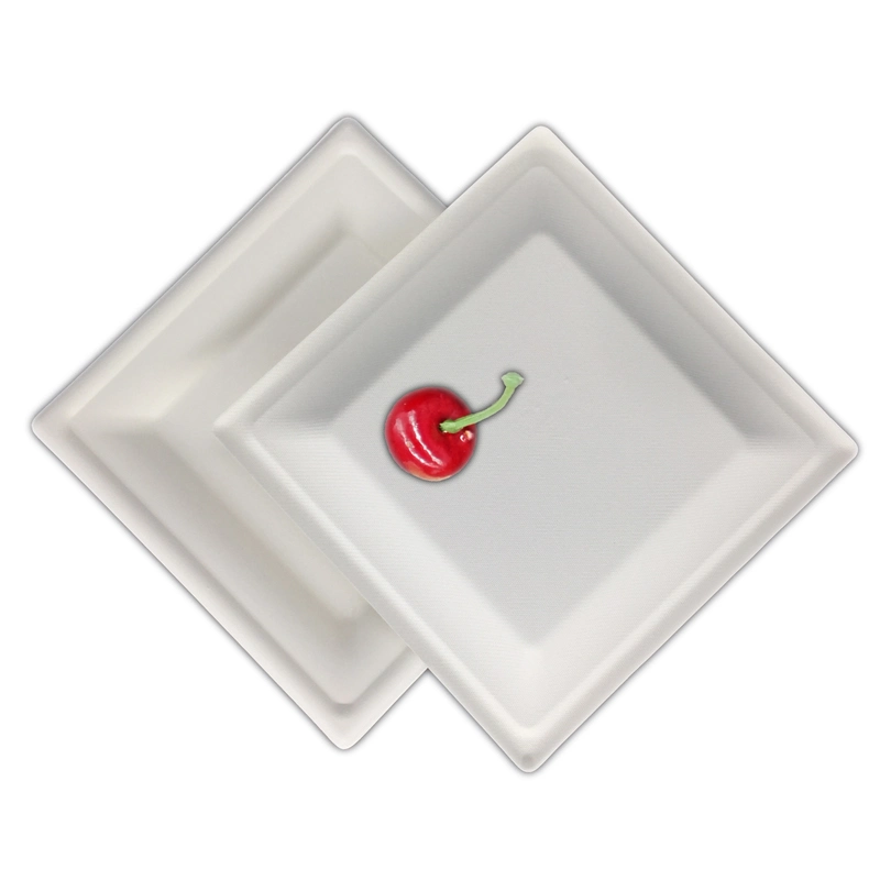 Eco Friendly Biodegradable Disposable Compostable Square Dish, Sugarcane Bagasse Square Plate