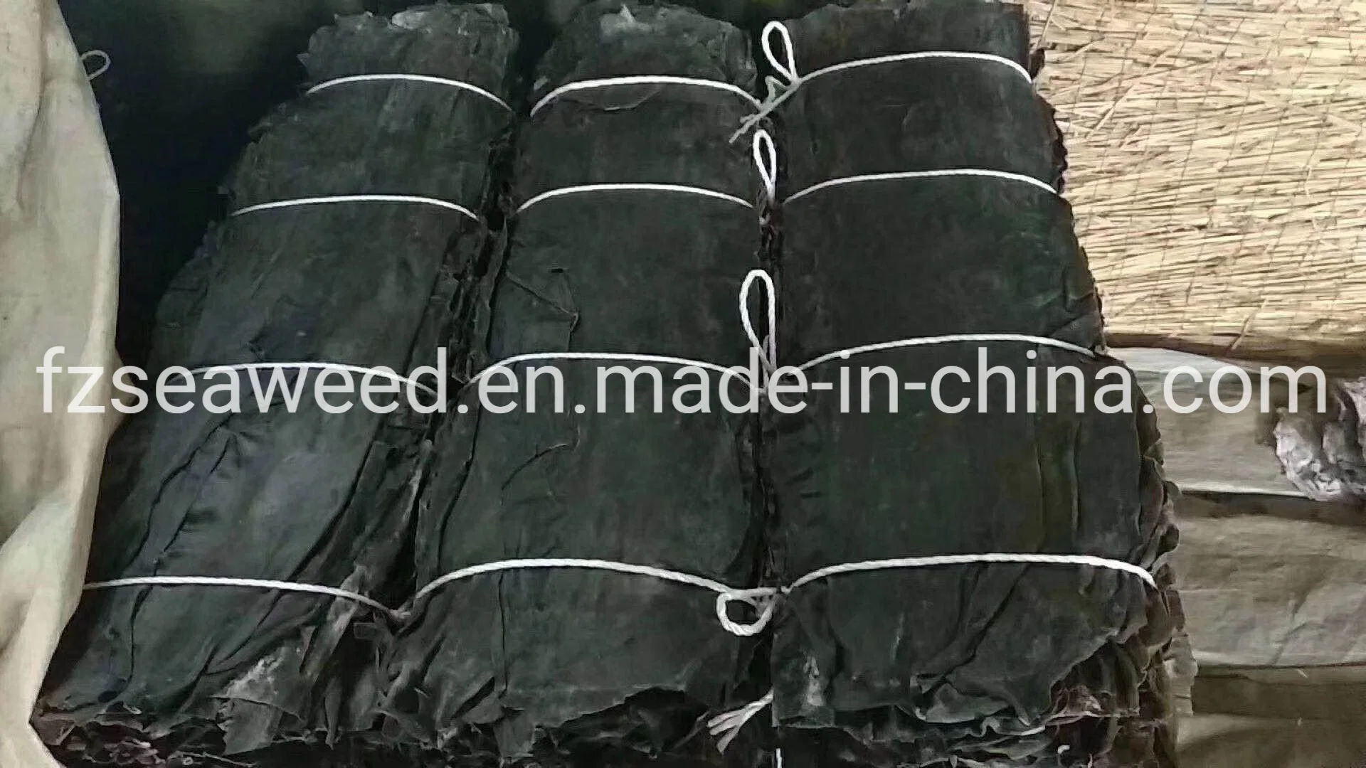 Wholesale/Supplier Factory Direct Dried Kelp Seaweed