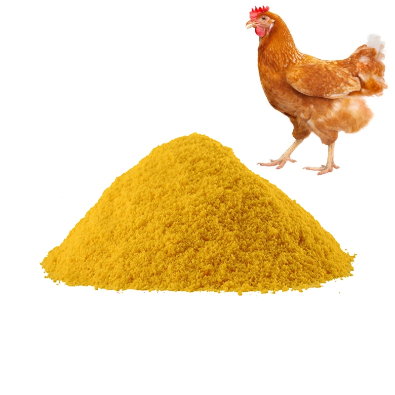 Hot sale poudre de poulet saveur de saison pour les Africains