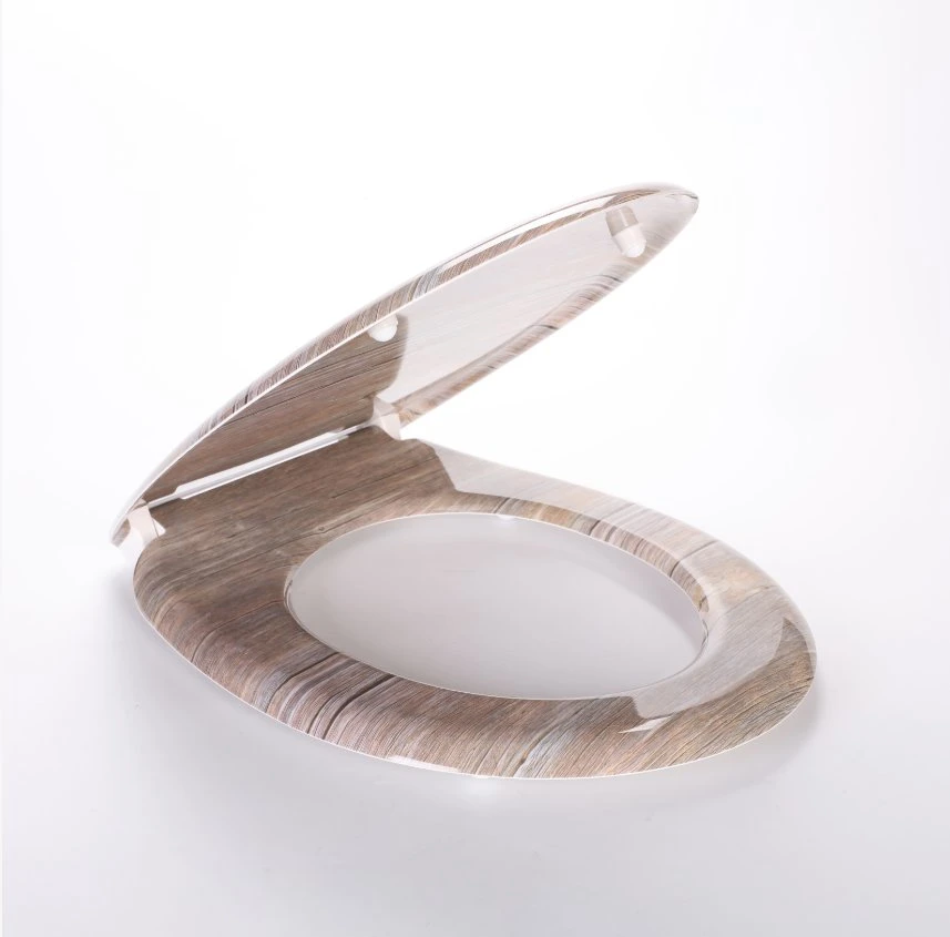 a High-End Hot Toilet Seat Designed for Europeans