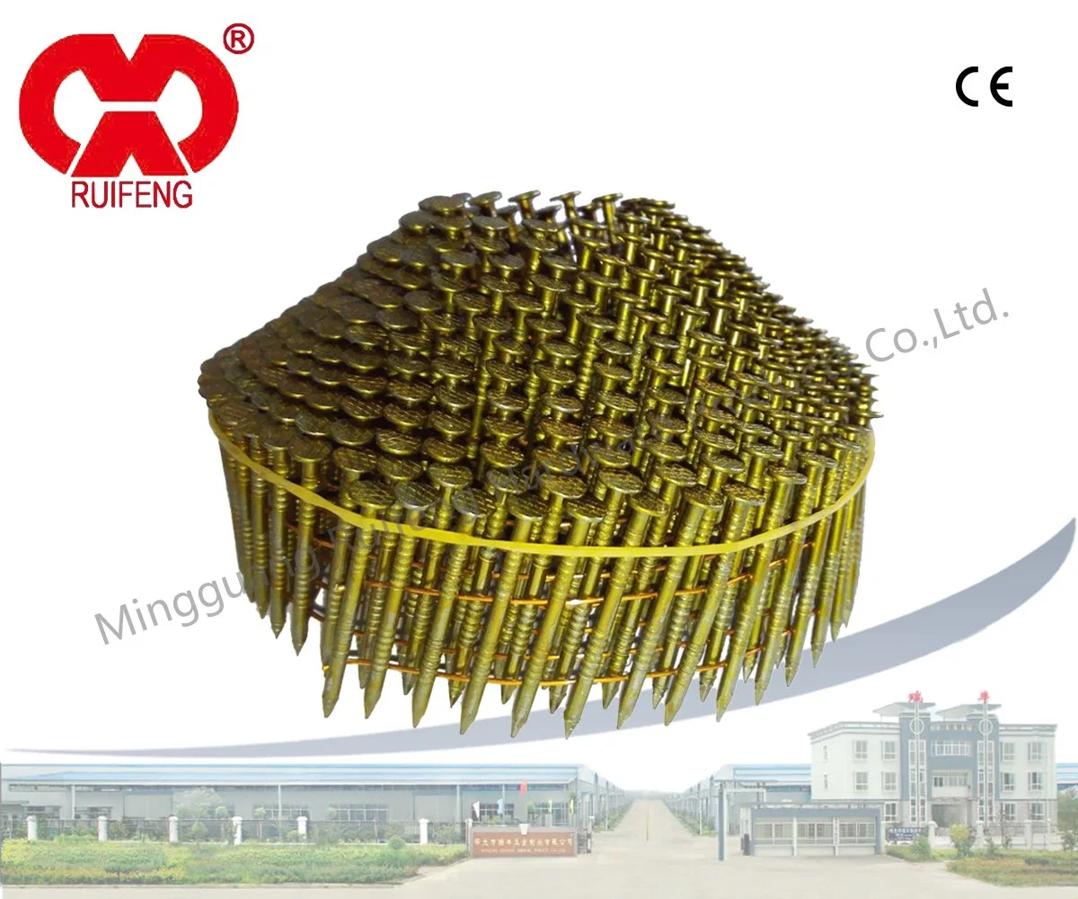 Hardware Fasteners Stainless Steel Framing Nails / Roofing Nails / Siding Nails 15/16&deg; Wire Collated Screws / Coil Nails with CE for Wood Pallets