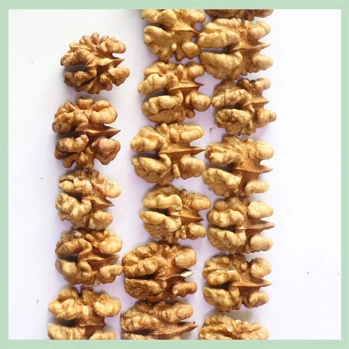 Xinjiang High quality/High cost performance Walnut Kernel