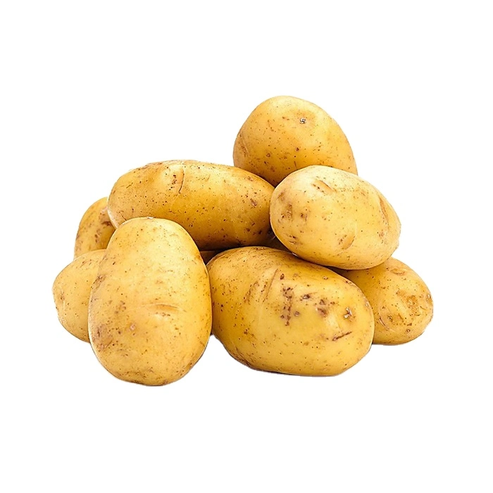 China Fresh Potatoes Export Wholesale/Supplier Low Price Small Potato