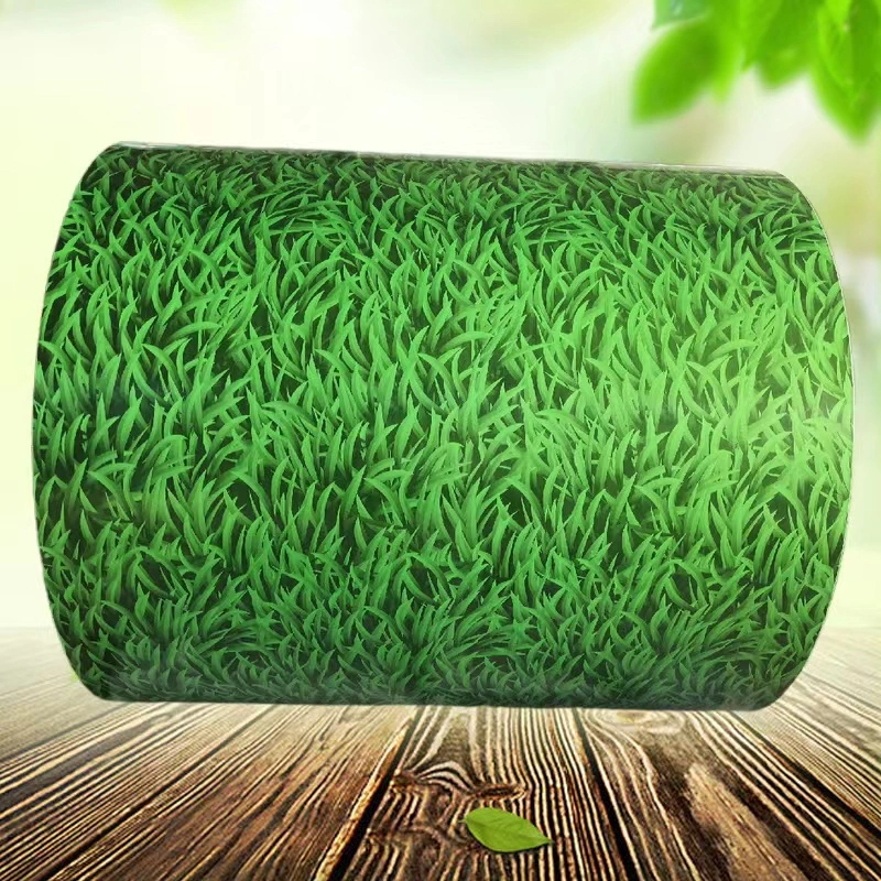 Decorative Material Small Grass Grain Print Colorful Galvanized Steel Coil