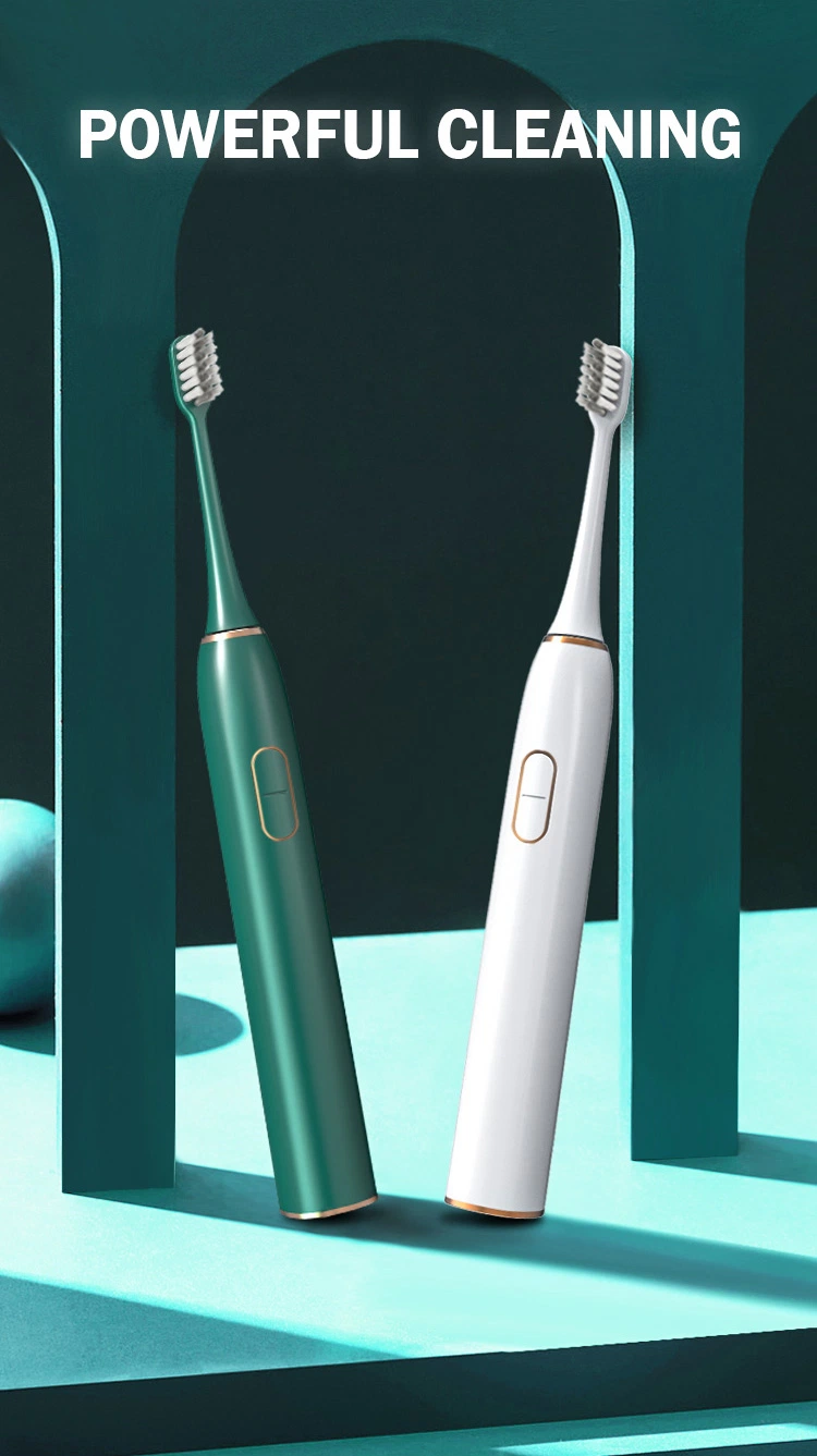 OEM Smart Hotel Automatic Electric Toothbrush