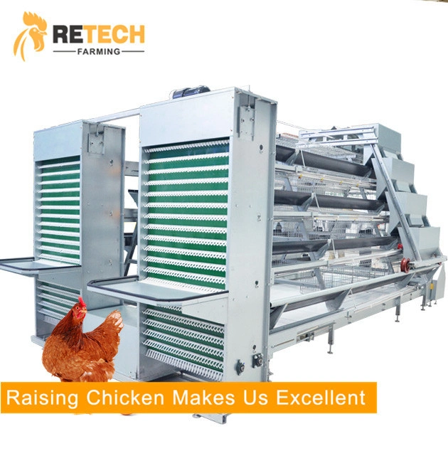 A Type Hot Selling Automatic Poultry Equipment For Layers