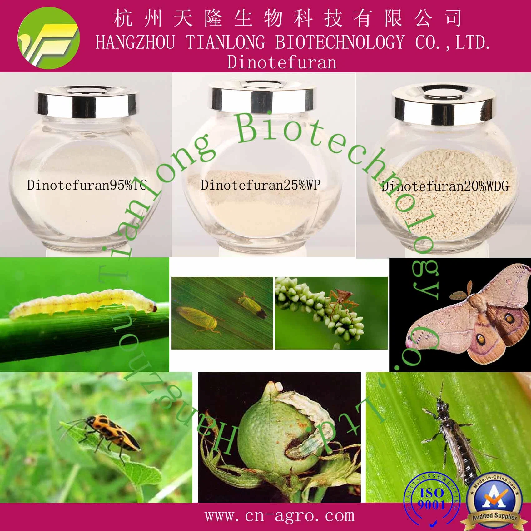 Insecticida Dinotefuran 96%TC, el 97%98%TC, TC CAS 165252-70-0.