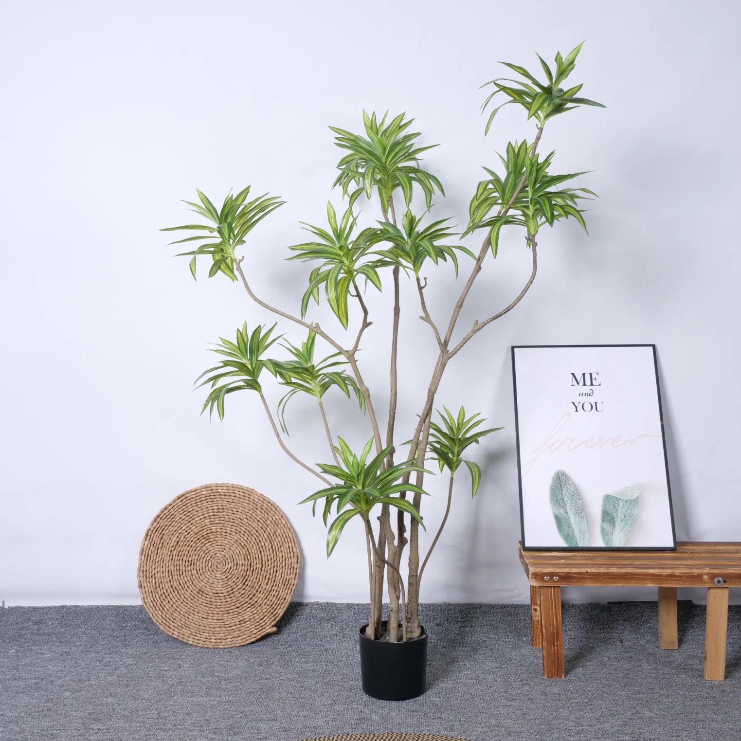 Wholesale/Supplier Potted Hotel Home Garden Decorative Plants Lily Bamboo