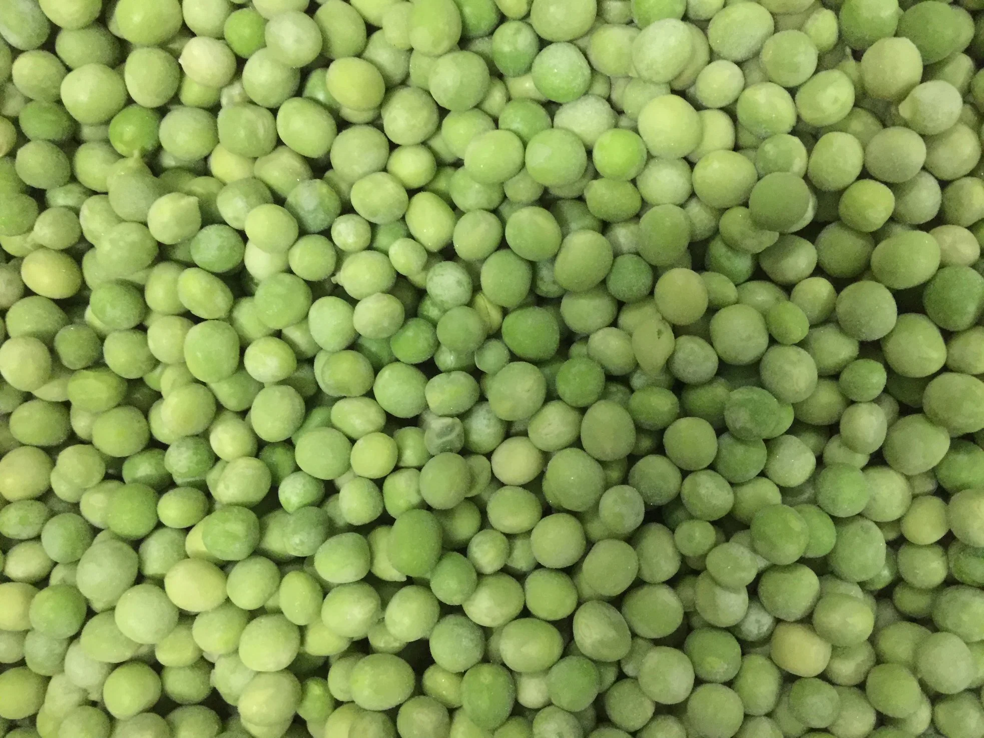 Frozen Vegetables IQF Frozen Green Peas