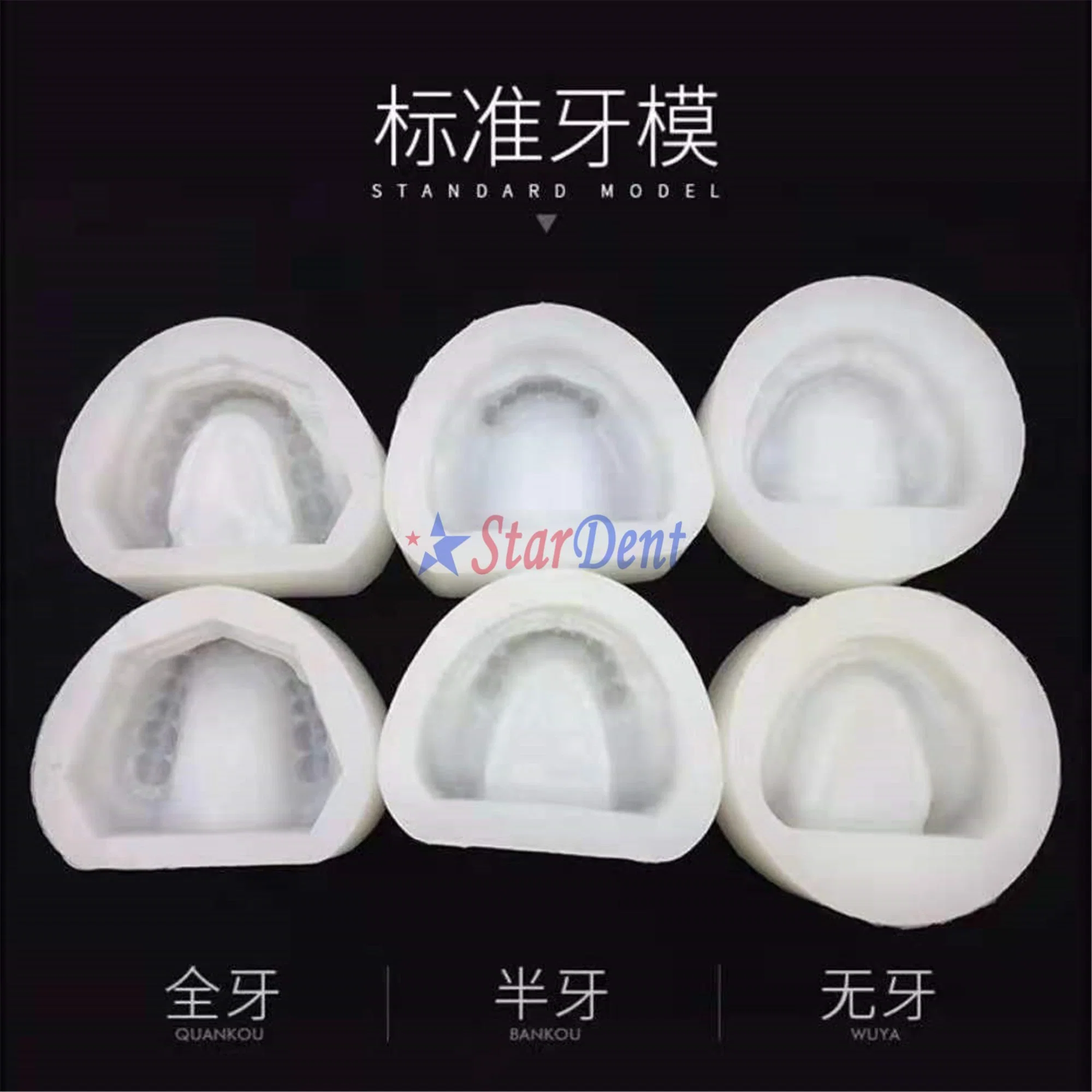 Hight Quality Dental Silicone Teaching Edentulous Jaw Plaster Model Mold Full Mouth Super Soft