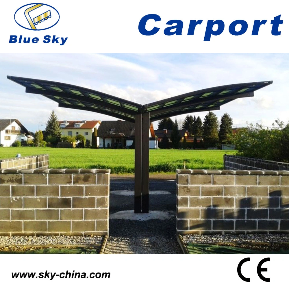 Hot Sale Durable Polycarbonate Aluminum Double Carport for Car Garage (B810)